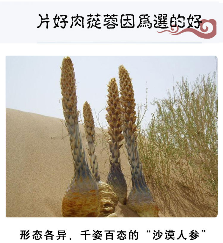 新图源升堂肉苁蓉_07.jpg