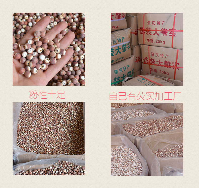 芡实2_07.jpg