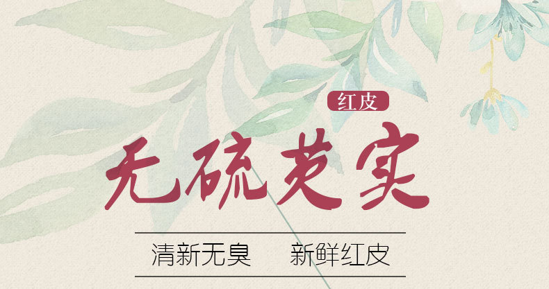 芡实2_01.jpg