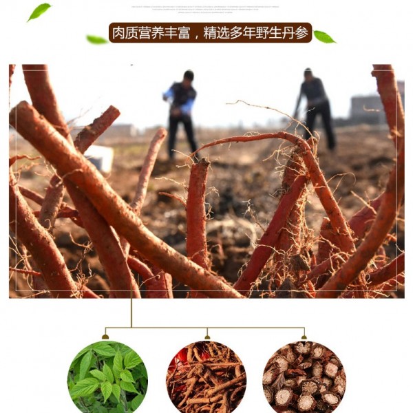 泽信堂 丹参紫丹参片 正品无硫精选丹参 500g传统滋补图2