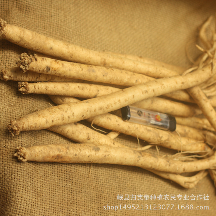 无标题-4