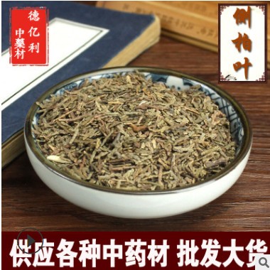 中药材侧柏叶新鲜侧柏叶可配桑叶苦丁茶叶 量大从优图3
