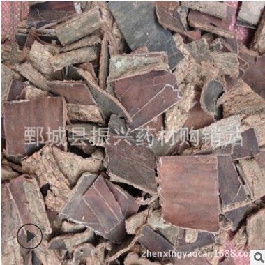 杜仲 振兴中药 中药材批发供应 杜仲 规格齐全图3
