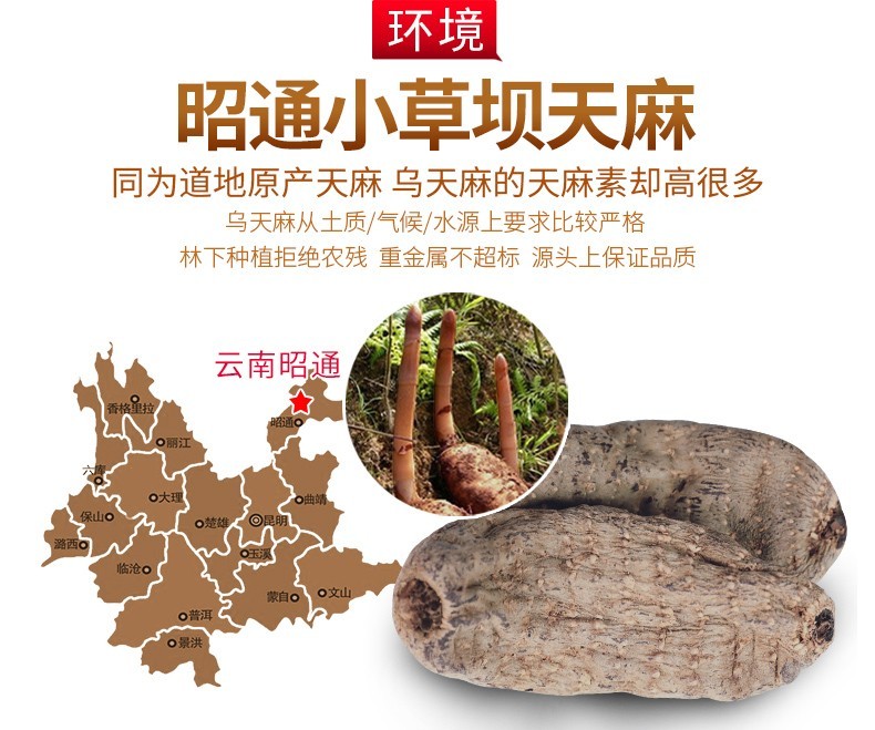 云南昭通乌天麻 12个 500g图2