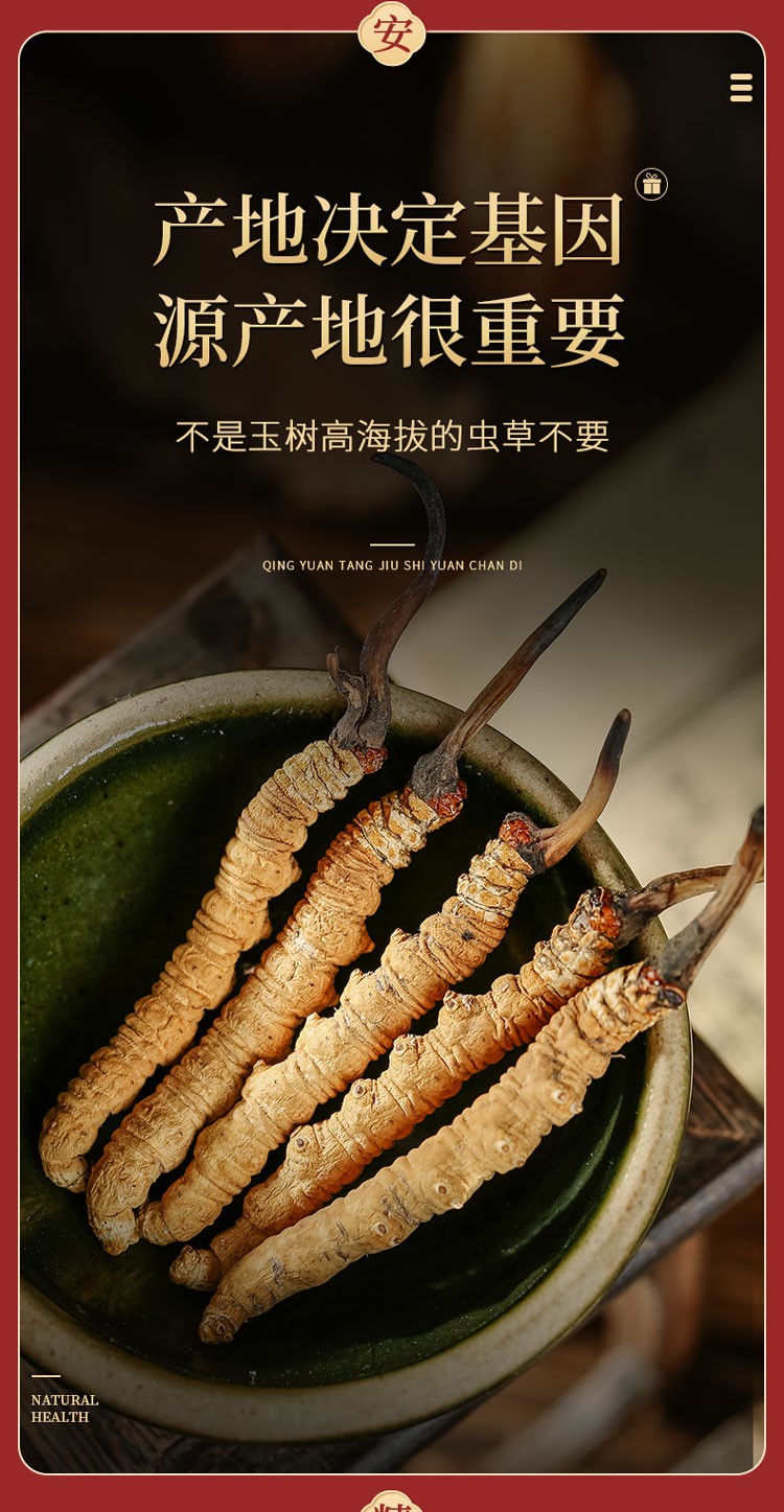 青源堂 冬虫夏草 10克礼盒 一级品质图3