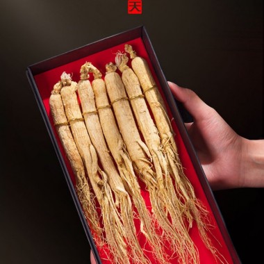 青源堂 人参100克